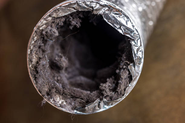 Best Air Duct Cleaning Near Me  in South Hill, NY