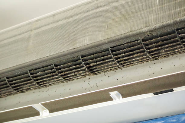 Best Residential Air Duct Cleaning  in South Hill, NY